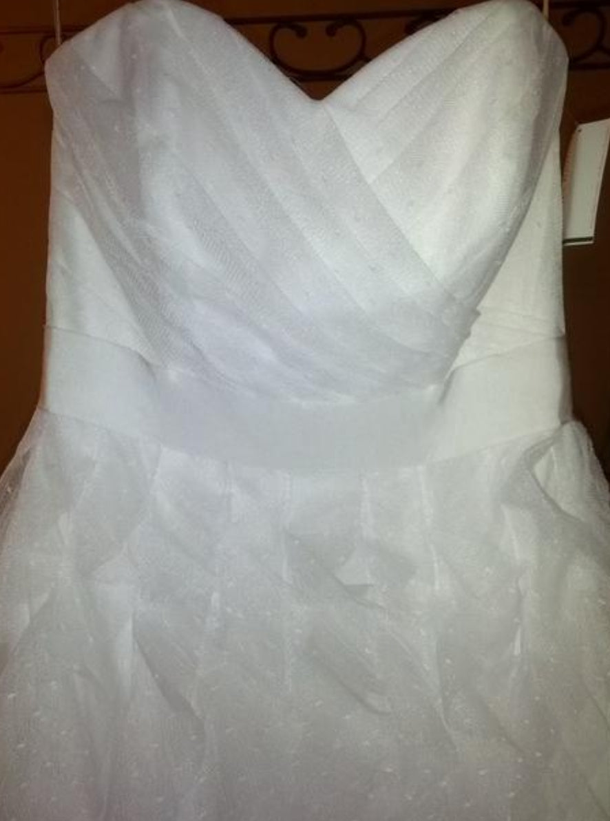 Dot tulle Wedding Gown